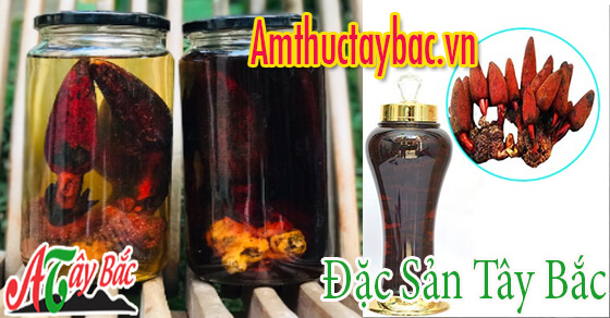 ruou nam ngoc cau tuoi co nong do cao