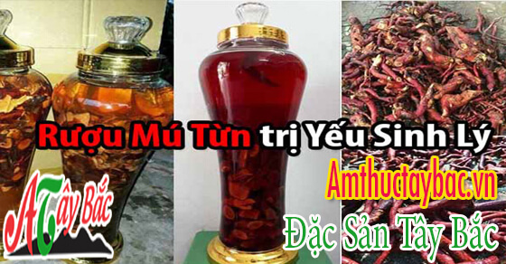 ruou ngam cay mu tun chi yeu sinh ly
