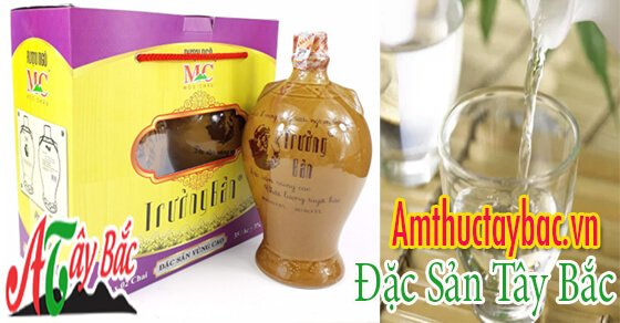 ruou ngo truong ban moc chau re uong ko say