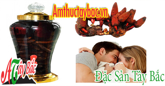 Rượu nấm ngọc cẩu tốt cho sức khỏe sinh lý 