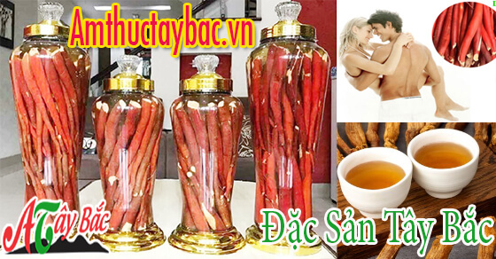 ruou sam cau nen su dung vao buoi toi12