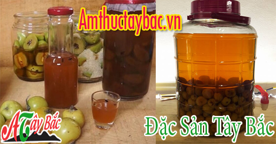 Rượu táo mèo có công dụng rất tốt cho sức khỏe