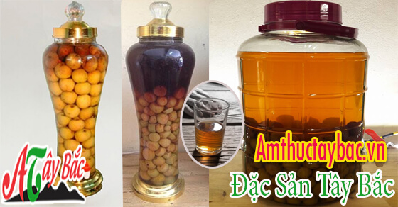 ruou tao meo co tai amthuctaybacvn ngon qua