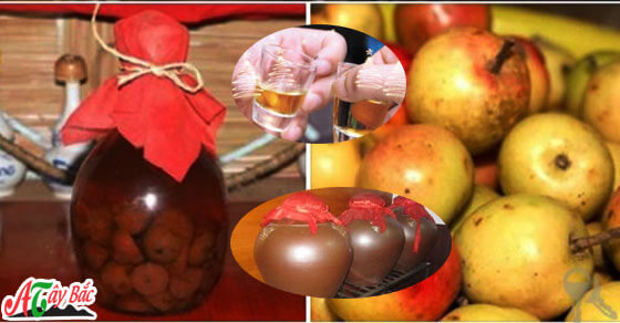 Mua rượu táo mèo ngon chuẩn nhất ở đâu Mua rượu táo mèo ngon chuẩn nhất ở đâu