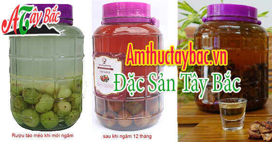 ruou tao meo thuong duoc ngam tu 1 nam tro len