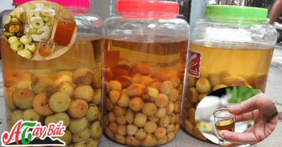 Rượu Táo Mèo thơm ngon chỉ có tại Ẩm Thực Tây Bắc Rượu Táo Mèo thơm ngon chỉ có tại Ẩm Thực Tây Bắc