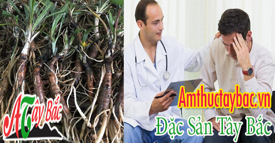 sam cau den co tac dung tot cho liet duong