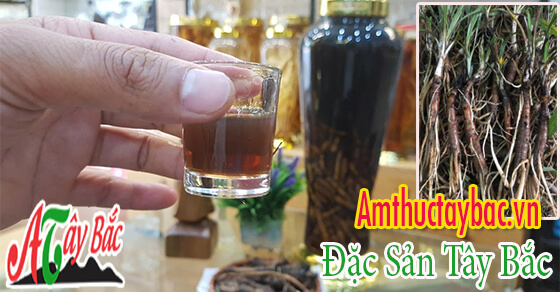 Sâm cau đen thường được dùng để ngâm rượu