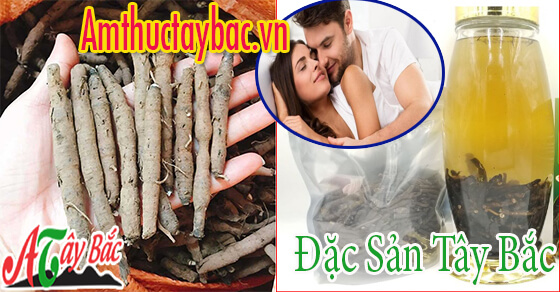 sam cau den thuong duoc su dung cho phai manh