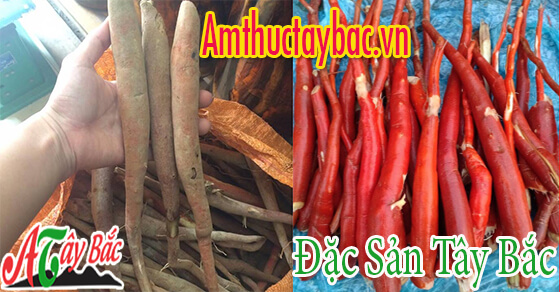 Sâm cau sau khi rửa sạch sẽ có màu đỏ tự nhiên