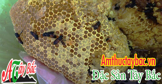 Mật ong nguyên sáp tươi ngon
