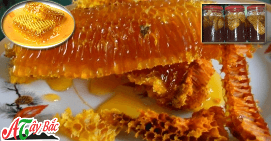 Mật ong nguyên sáp loại mật ong chuẩn của Tây Bắc