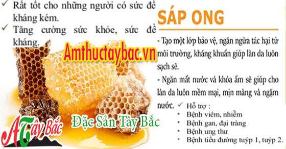 Sáp ong cũng có công dụng đặc biệt trong việc chữa bệnh Sáp ong cũng có công dụng đặc biệt trong việc chữa bệnh
