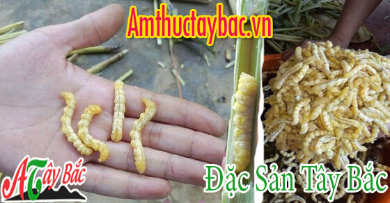 Sâu chít thường có màu vàng nhạt