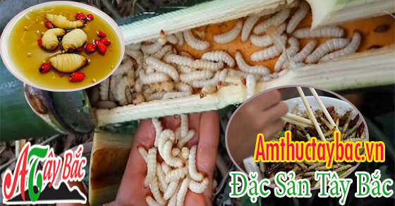 Sâu tre là món ăn độc lạ của Tây Bắc