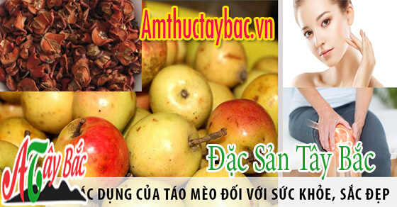 Táo mèo đem đến nhiều công dụng
