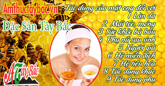 tac dung mat ong rung tai am thuctaybacvn cuc ngon