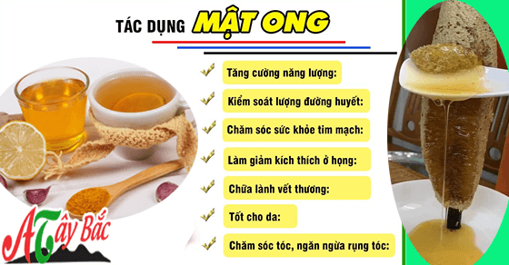 Mật ong rừng mang đến rất nhiều công dụng cho sức khỏe Mật ong rừng mang đến rất nhiều công dụng cho sức khỏe