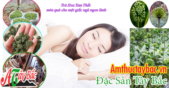 Nhụy hoa tam thất được xem là thần dược cho sức khỏe Nhụy hoa tam thất được xem là thần dược cho sức khỏe