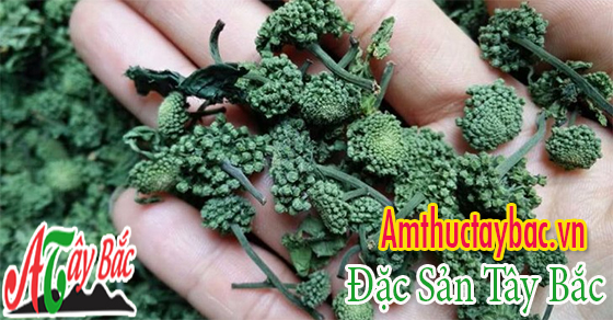 Tác dụng phụ không mong muốn khi sử dụng sai liều lượng nụ hoa tam thất