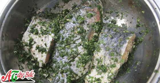 tam gia vi de lam ca hap la