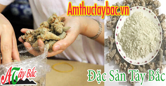 Tam thất có rất nhiều dạng bào chế