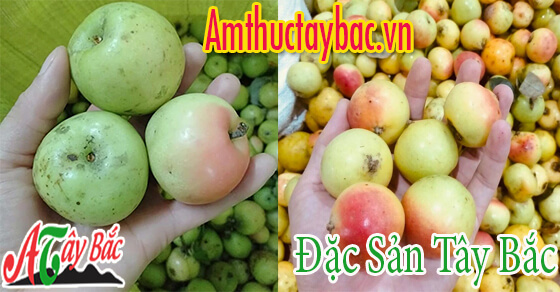 tao meo chinh vu thuong co tu thang 8 hang nam