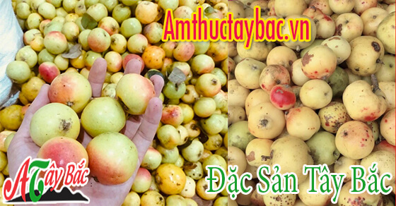 Táo mèo chuẩn Tây Bắc thường đanh và già quả