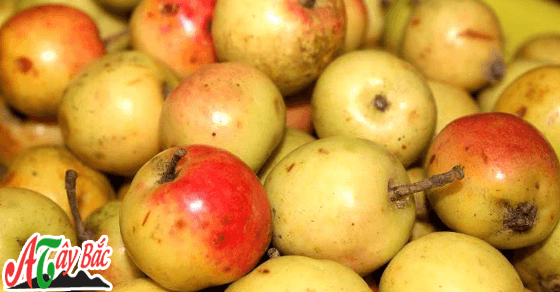 Nên chọn những quả táo mèo có sắc hồng Nên chọn những quả táo mèo có sắc hồng