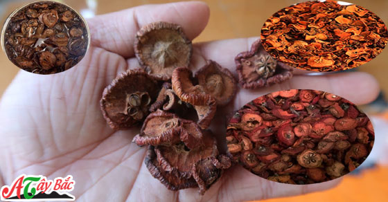 Táo mèo khô chuẩn vị của Tây Bắc