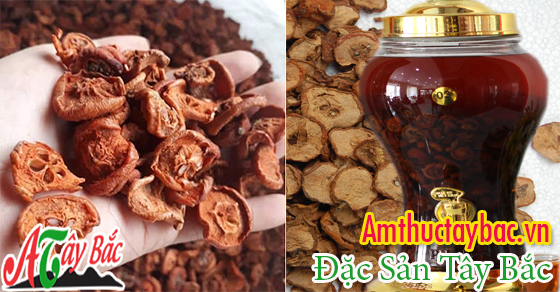 Táo mèo khô ngâm rượu mang đến rất nhiều công dụng Táo mèo khô ngâm rượu mang đến rất nhiều công dụng