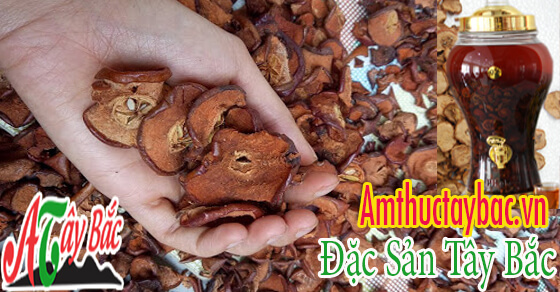 Táo mèo khô Tây Bắc sản phẩm ngâm rượu rất được ưa chuộng