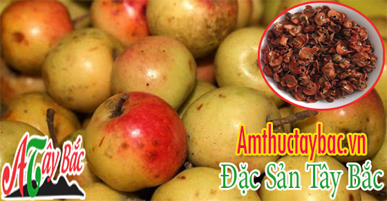 Giới thiệu quả táo mèo - Đặc sản Tây Bắc tại Hà Nội 