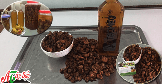 Táo mèo khô thơm chuẩn vị món quà của vùng cao Tây Bắc Táo mèo khô thơm chuẩn vị món quà của vùng cao Tây Bắc