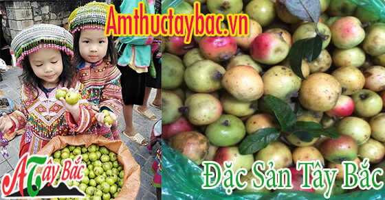 tao meo tuoi cua tay bac ngon chuan