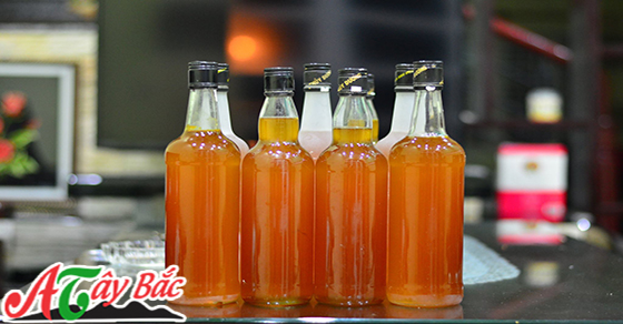 Mật ong rừng chất lượng và đảm bảo