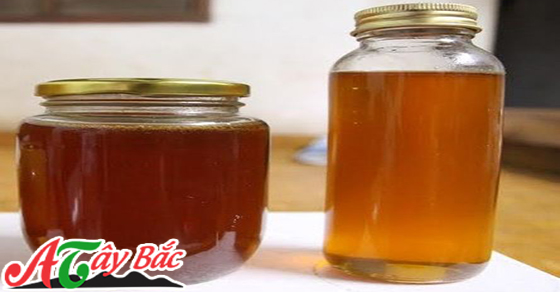 Mật ong rừng nguyên liệu quý của núi rừng Tây Bắc