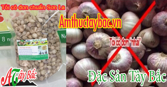 Tỏi cô đơn chính gốc Tây Bắc Tỏi cô đơn chính gốc Tây Bắc