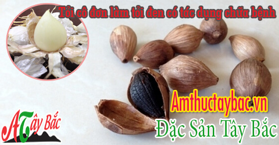 Tỏi cô đơn thường được dùng để chữa bệnh Tỏi cô đơn thường được dùng để chữa bệnh