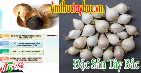 Tỏi cô đơn có tốt cho sức khỏe không? Tỏi cô đơn có tốt cho sức khỏe không?