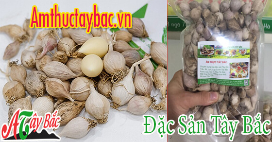 Tỏi cô đơn đặc sản ẩm thực Tây Bắc Tỏi cô đơn đặc sản ẩm thực Tây Bắc