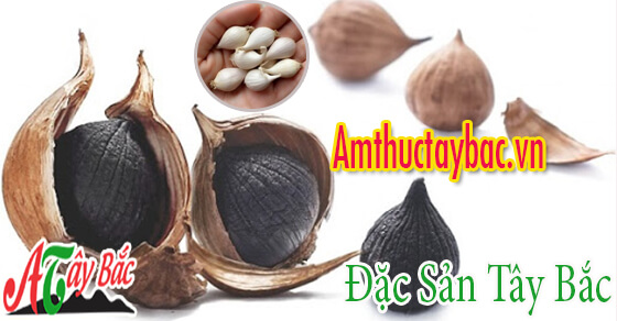 Tỏi cô đơn được chế biến thành tỏi đen Tỏi cô đơn được chế biến thành tỏi đen