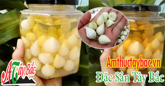 Tỏi cô đơn dùng ngâm rượu chữa được các bệnh 