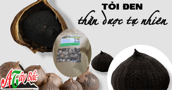 Tỏi đen mang đến rất nhiều tác dụng cho sức khỏe Tỏi đen mang đến rất nhiều tác dụng cho sức khỏe
