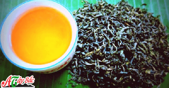 Chè Tà Xùa món quà đặc biệt của Tây Bắc Chè Tà Xùa món quà đặc biệt của Tây Bắc