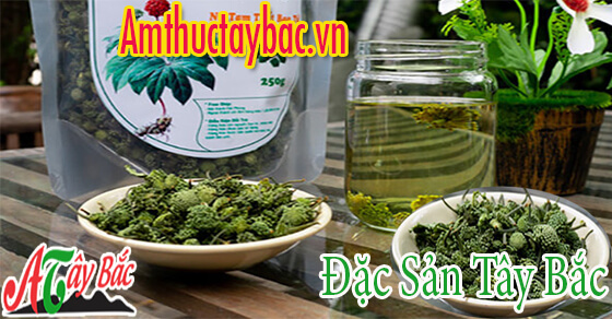 Trà tam thất rất tốt cho cơ thể Trà tam thất rất tốt cho cơ thể