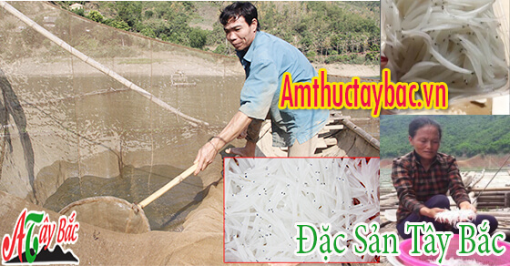 Sau khi cất võ người dân sẽ vớt cá ngần sông đà