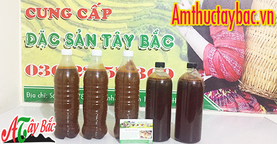 Nhận biệt mật ong rừng chuẩn của Ẩm Thực Tây Bắc