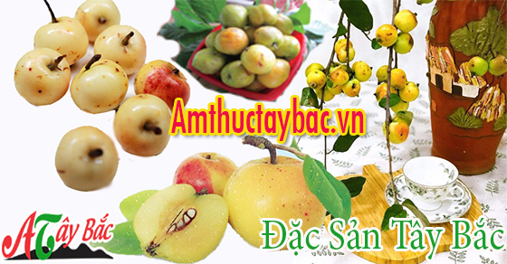 nen chon tao meo to va deu qua