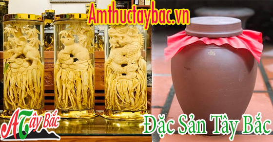 Bảo quản rượu đinh lăng trong bình thủy tinh hoặc sứ